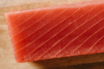 Fresh Tuna Wholesale